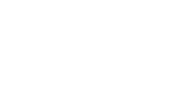 Flexbridge